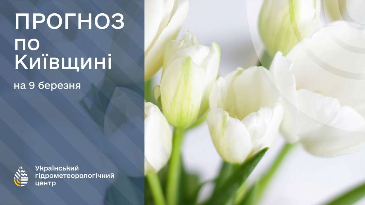 В Киеве и области в конце текущей недели облачно с прояснениями, морозно ночью, а уже во вторник-среду ожидаются дожди, ночью с мокрым снегом, сообщает Укргидрометцентр