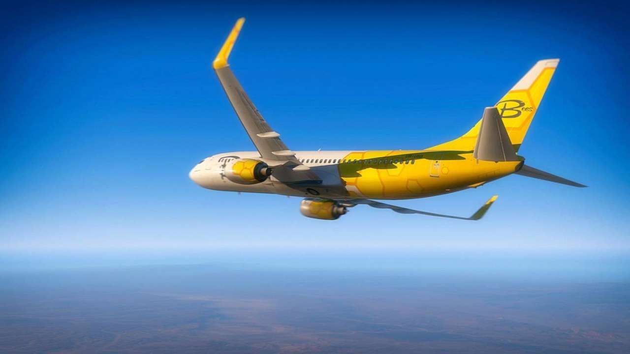 Компанія Bees Airline