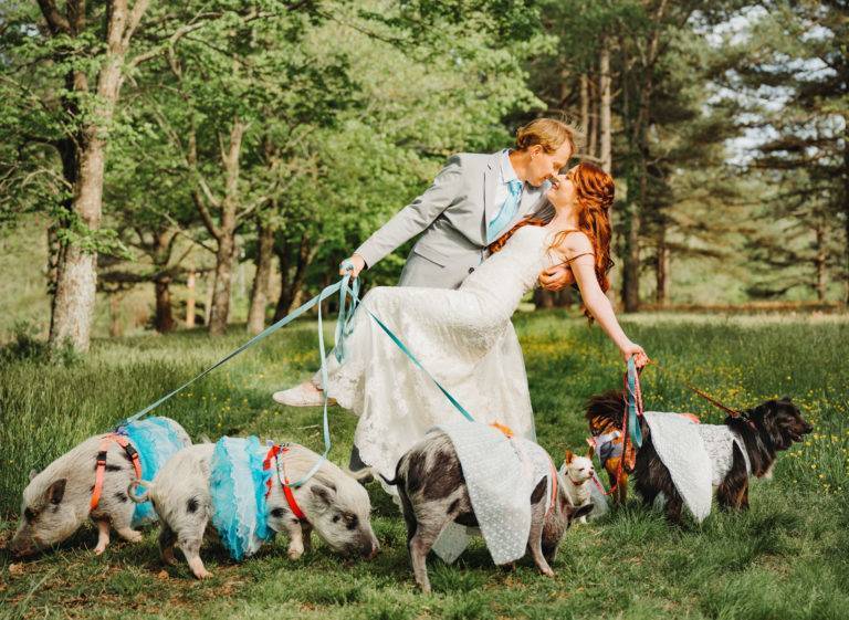 Пара зіграла грандіозне весілля з тваринами з притулку/Фото: Instagram/Автор: lifewithpigsfarmsanctuary lifewithpigsfarmsanctuary