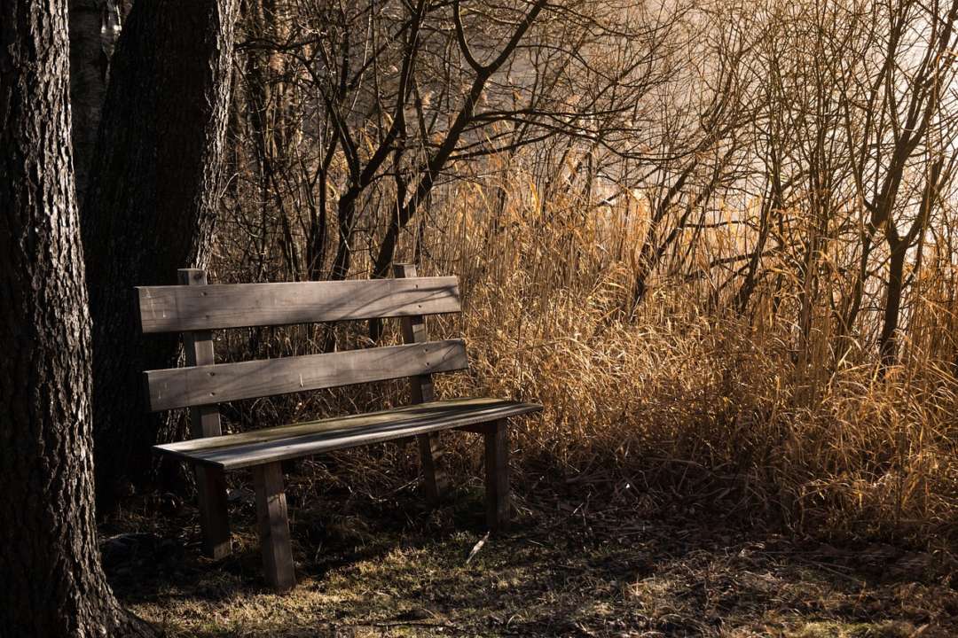 Ночи в Украине будут становиться холоднее / Фото: Pixabay Несмотря на теплые дни, ночи в Украине будут становиться холоднее