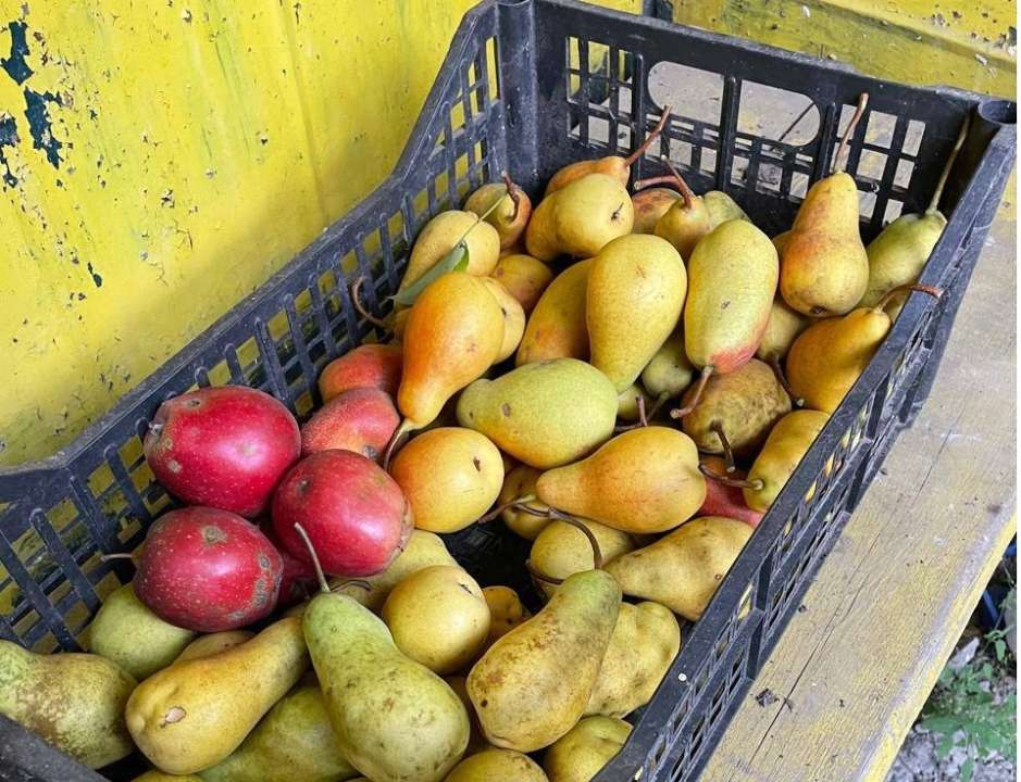 Стихийное бедствие, случившееся в Чехии, Словакии, Румынии, Польше, Австрии, вызвано длительными сильными дождями, которые обусловил стационирующий циклон средиземноморского происхождения Стихийное бедствие, случившееся в Чехии, Словакии, Румынии, Польше, Австрии, вызвано длительными сильными дождями, которые обусловил стационирующий циклон средиземноморского происхождения