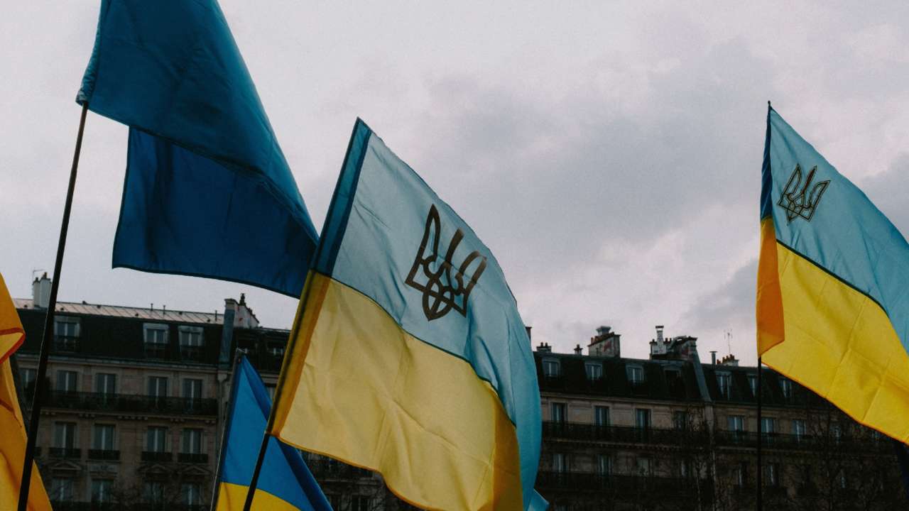 опитування українців