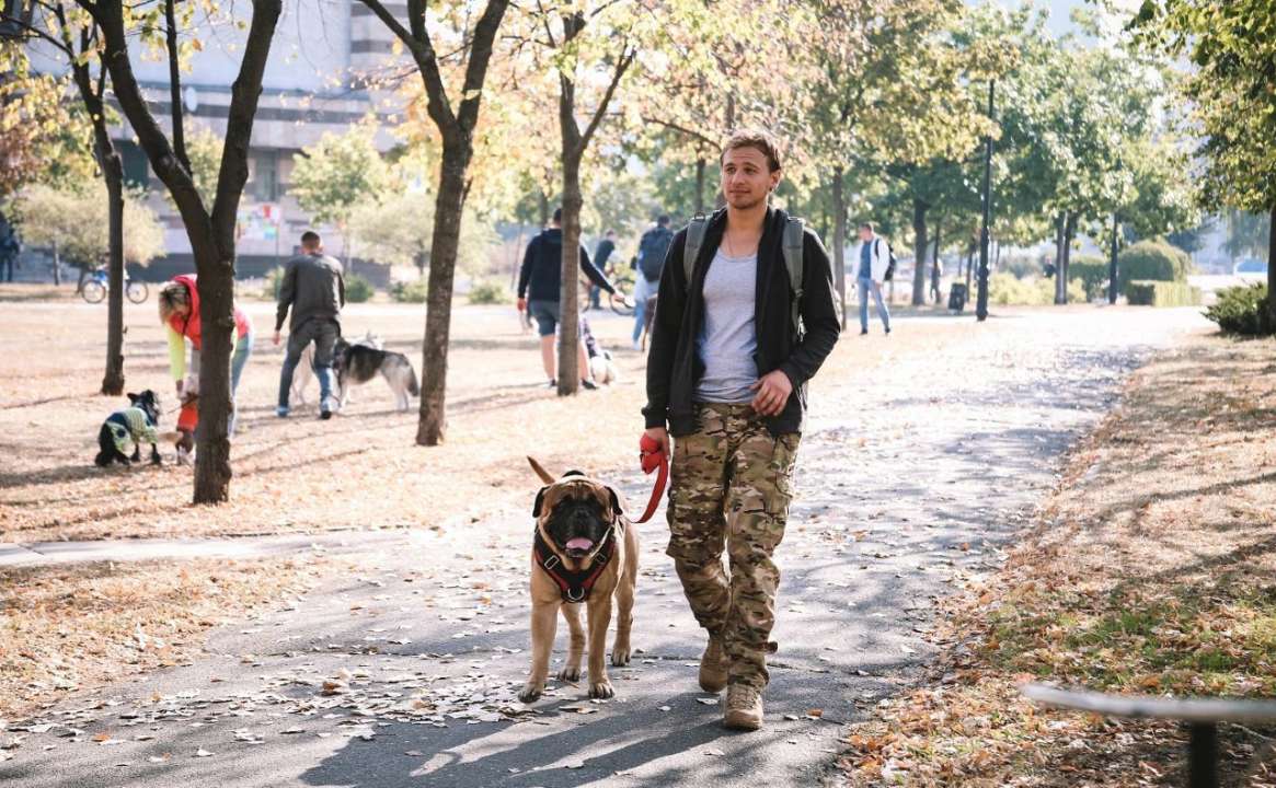 В Киеве состоится премьера короткометражного фильма "Бульмастиф"