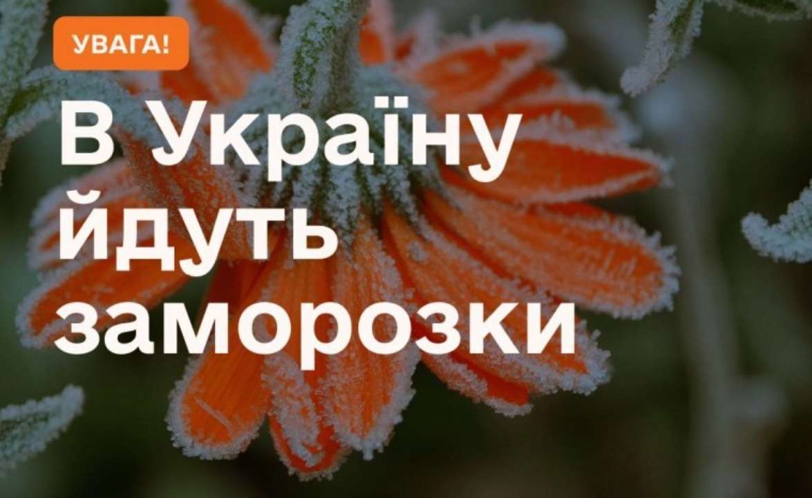 Прогноз погоды на 14 мая по Киевской области