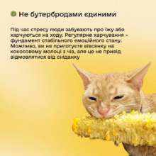 Як позбутися стресу і тривоги: поради доктора медичних наук / Фото: t.me/diia_gov Як позбутися стресу і тривоги: поради доктора медичних наук / Фото: t.me/diia_gov