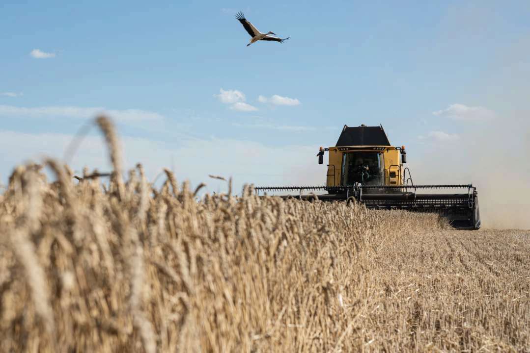 Минагрополитики назвало область, в которой намолотили больше всего зерна / Фото: Alexey Furman/Getty Images