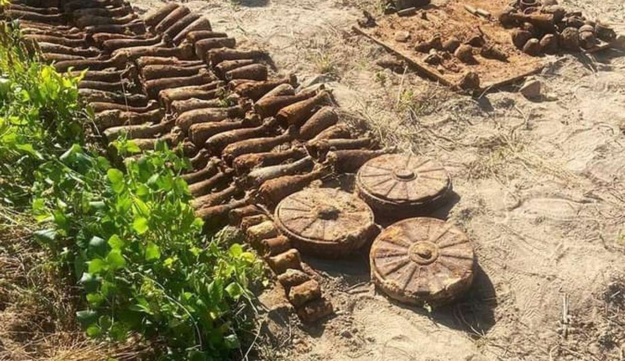 Женщина копала картофель и выкопала арсенал оружия времен Второй мировой войны Женщина копала картофель и выкопала арсенал оружия времен Второй мировой войны
