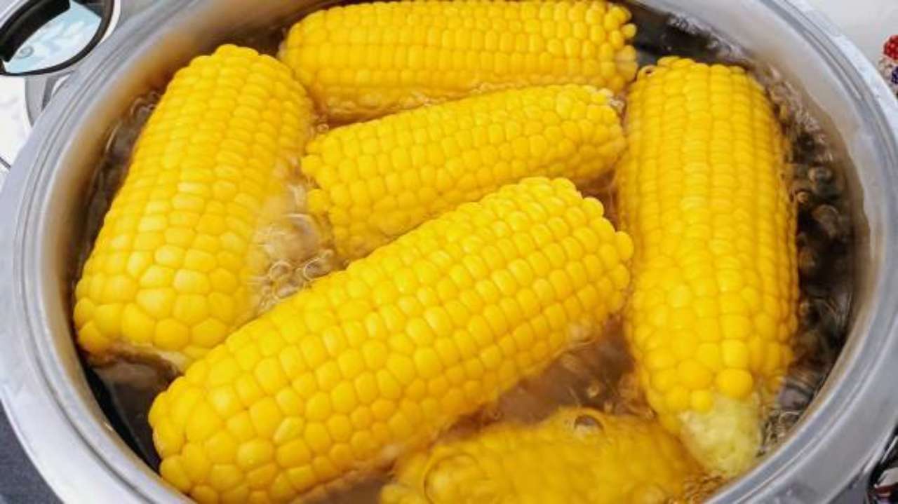 Диетолог рассказала, зачем есть кукурузу летом
