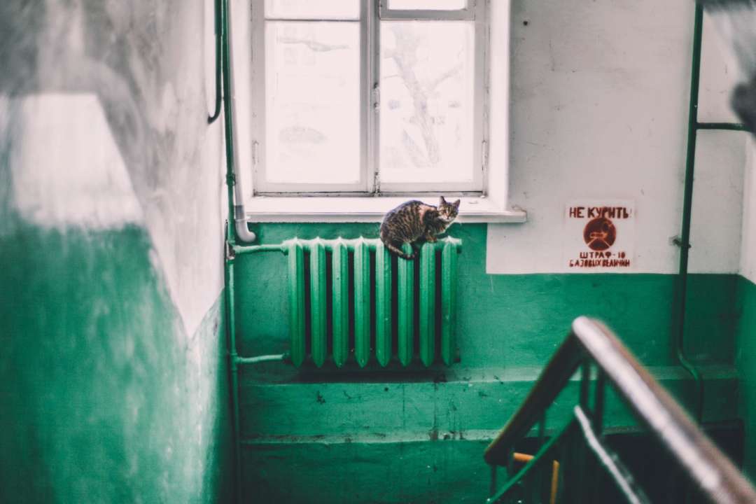 Фото: Pexels Під'їзд