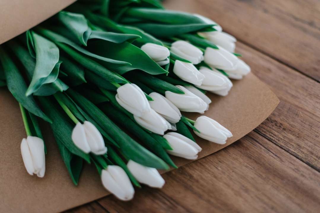 Як зберегти букет тюльпанів свіжим довше/Фото: Unsplash Як зберегти букет тюльпанів свіжим довше/Фото: Unsplash