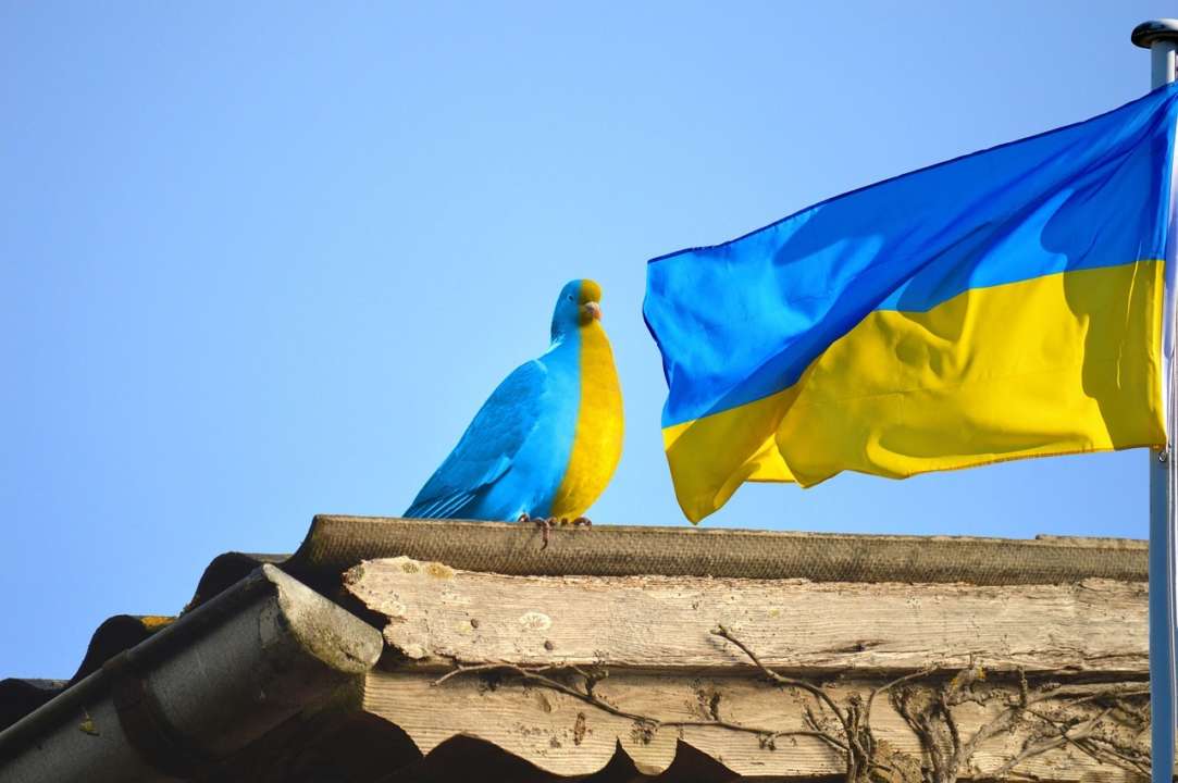 День Военно-морского флота