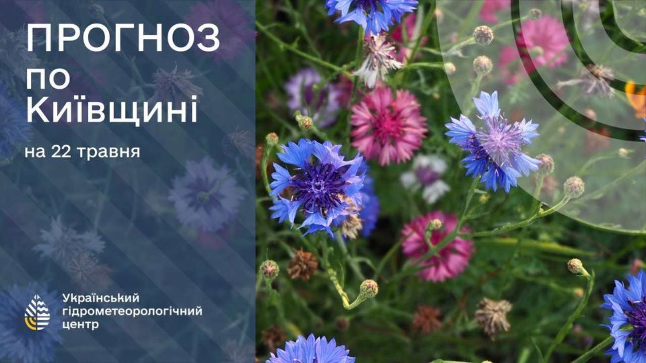 Радіаційний фон (мкР/год): всі показники у межах норми