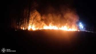 У ДСНС повідомили про пожежі в екосистемах / Фото: t.me/dsns_telegram У ДСНС повідомили про пожежі в екосистемах / Фото: t.me/dsns_telegram