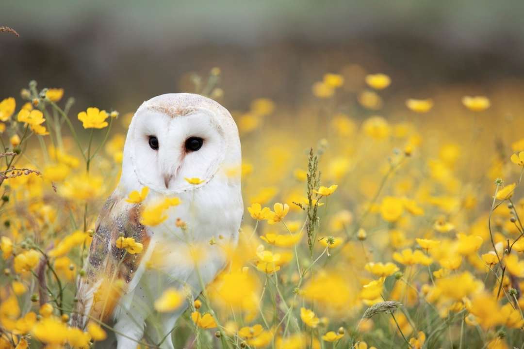Кто празднует день ангела 30 августа/Фото: Unsplash Кто празднует день ангела 30 августа/Фото: Unsplash