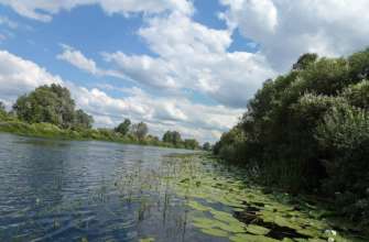 Забруднюючі органічні речовини дійшли до ділянки річки Десна в с. Боромики на Чернігівщині/Фото: wikipedia Яка ситуація із забрудненням Десни станом на 5 вересня
