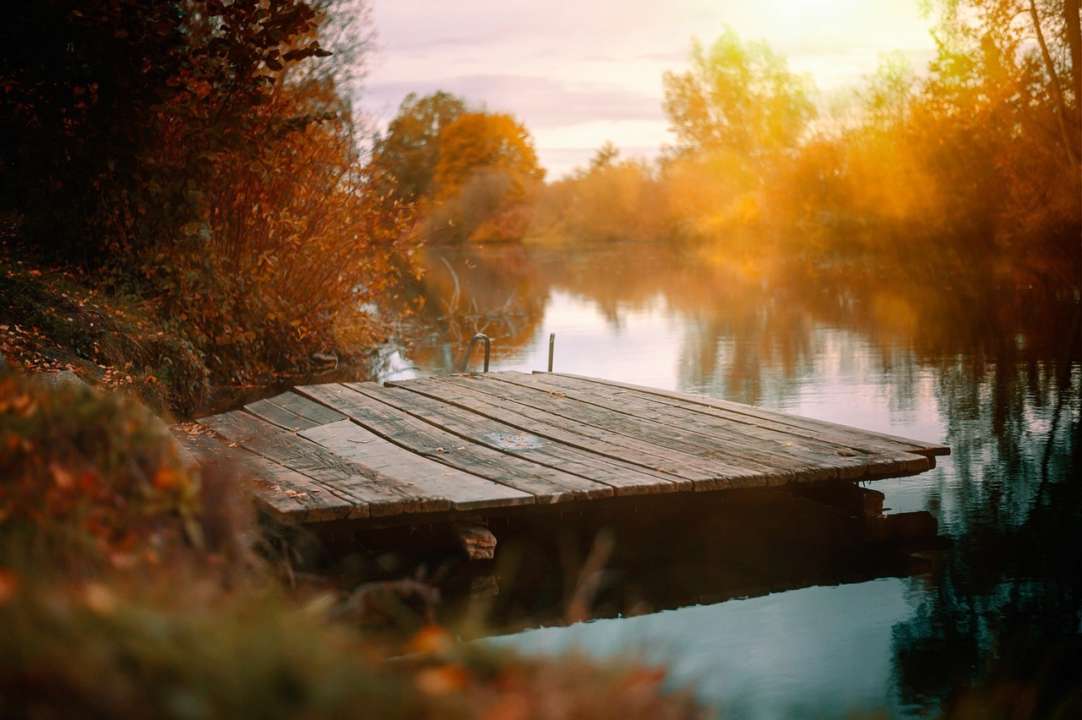 Именины 22 октября/Фото: Pixabay Именины 22 октября/Фото: Pixabay