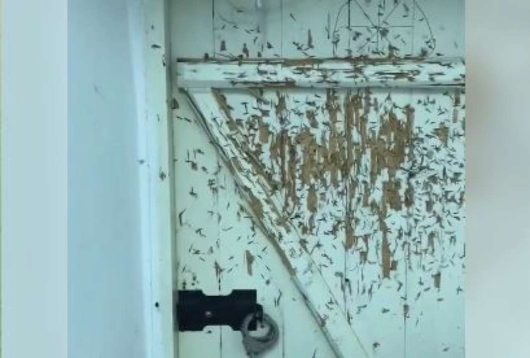 Было опубликовано и видео по провокациям в Галерее ближних пещер заповедника "Киево-Печерская лавра" Было опубликовано и видео по провокациям в Галерее ближних пещер заповедника "Киево-Печерская лавра"