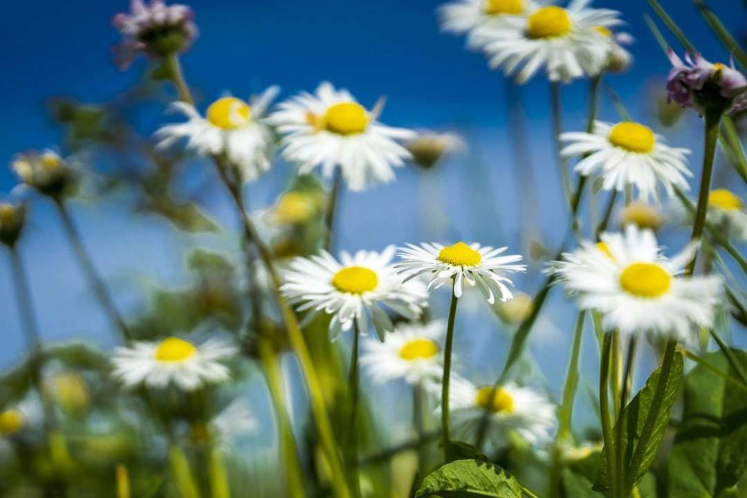 Приметы 25 апреля / Фото: Pixabay Приметы 25 апреля: что запрещено делать в этот день