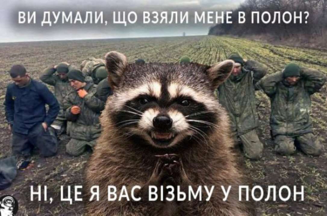 Оккупанты похитили енота из зоопарка Херсона