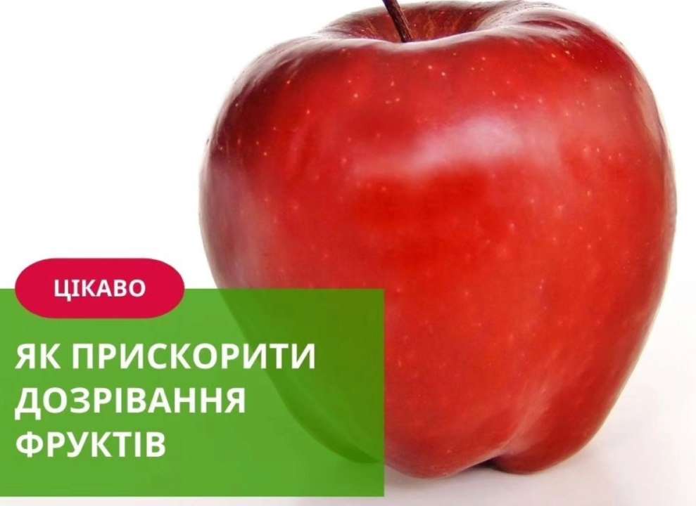 Багато фруктів і овочів виділяють етилен Багато фруктів і овочів виділяють етилен