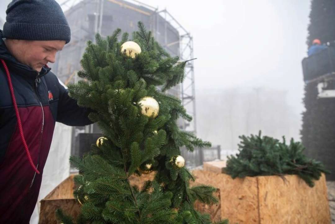У Києві почали наряджати головну ялинку країни. Фото: Телеграм КМДА Ялинка незламності