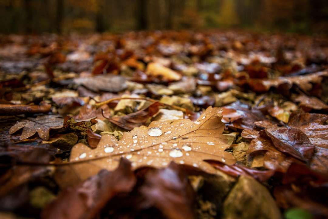 Погода в Украине 7 октября/Фото: Unsplash