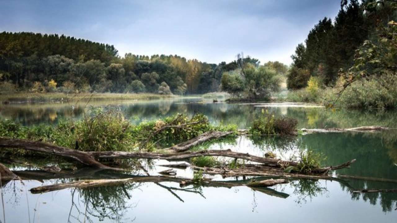 Минприроды сообщило новые данные по качеству воды в реках Сейм и Десна