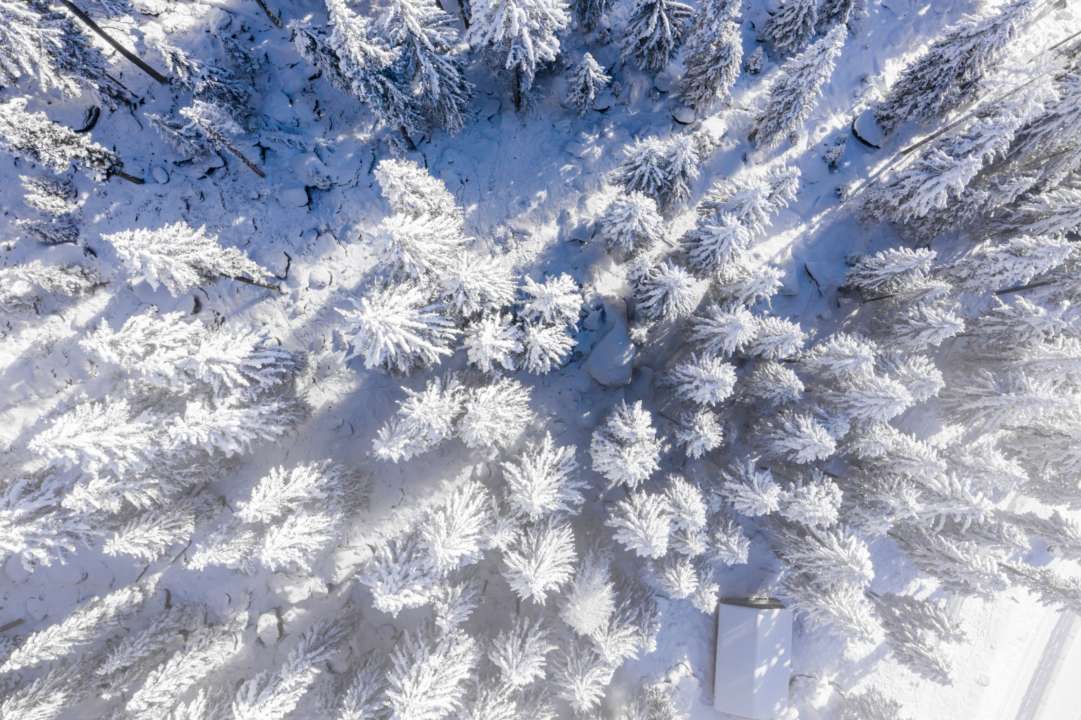 Синоптик опубликовала прогноз погоды на 2 февраля / Фото: Freepik Зима в Украине