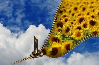 В Украину 18 июля придет антициклон/Фото: pixabay В Украину 18 июля придет антициклон