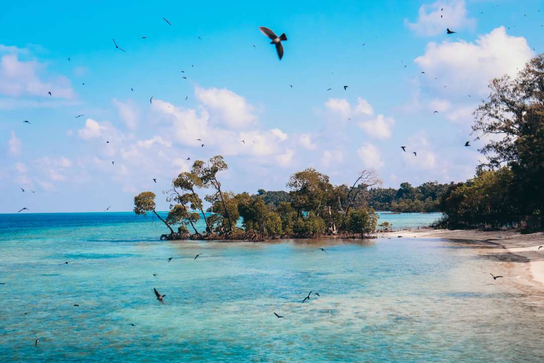 Море