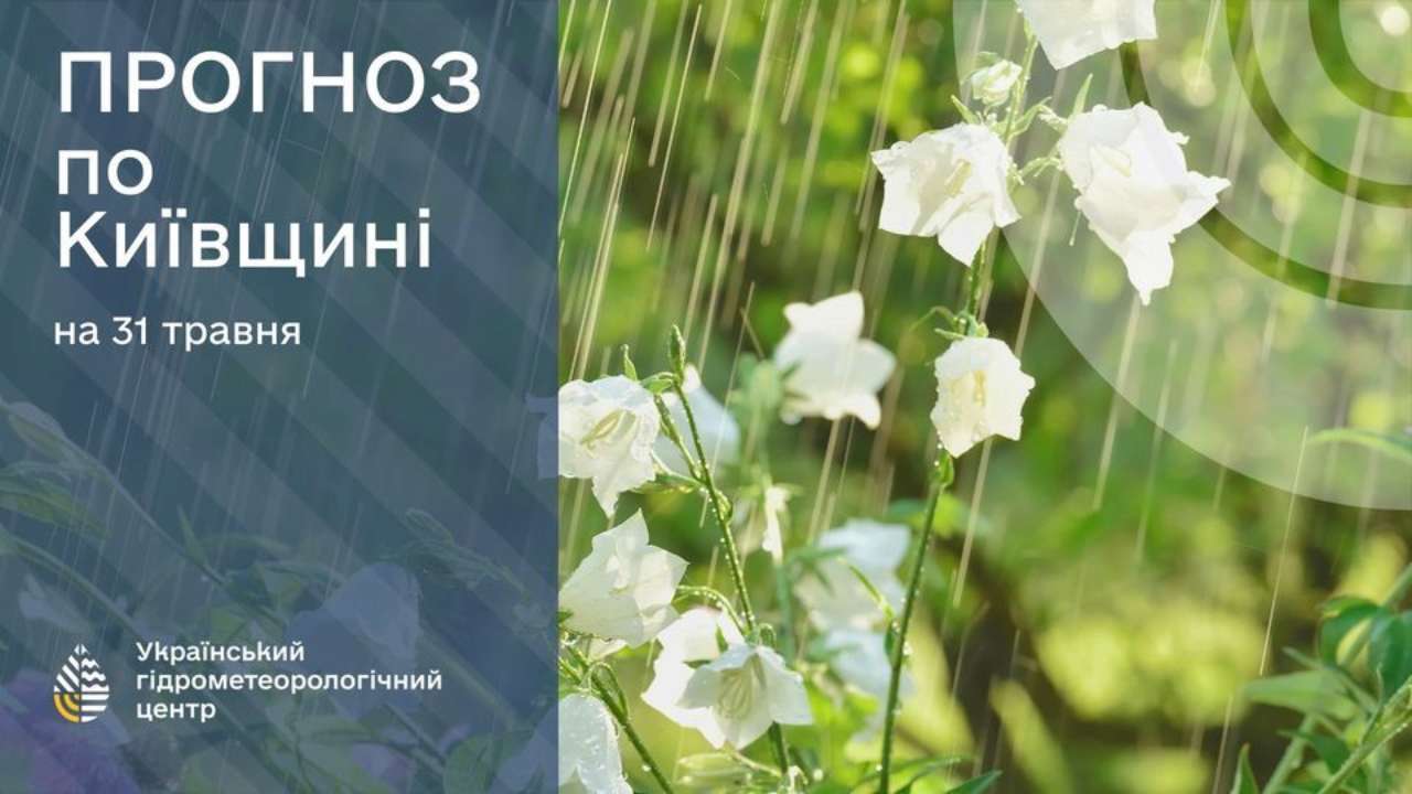 31 травня - 1 червня надзвичайний рівень пожежної небезпеки