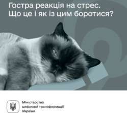 Як виявити гострий стресовий розлад / Фото: "Ти як?" Як виявити гострий стресовий розлад