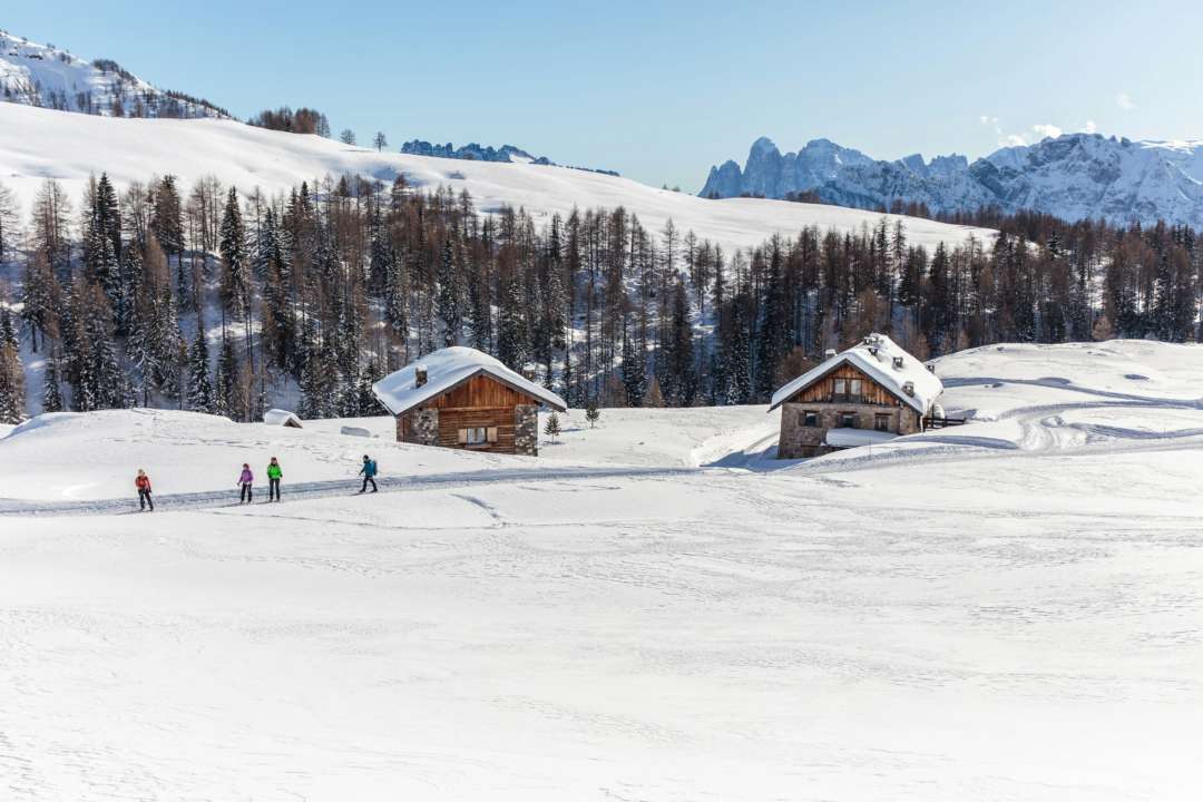 Именины 21 февраля/Фото: Unsplash