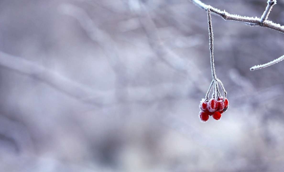 Прогноз погоди на 5 квітня / Фото: Pixabay Прохолодно та з опадами: прогноз погоди на 5 квітня