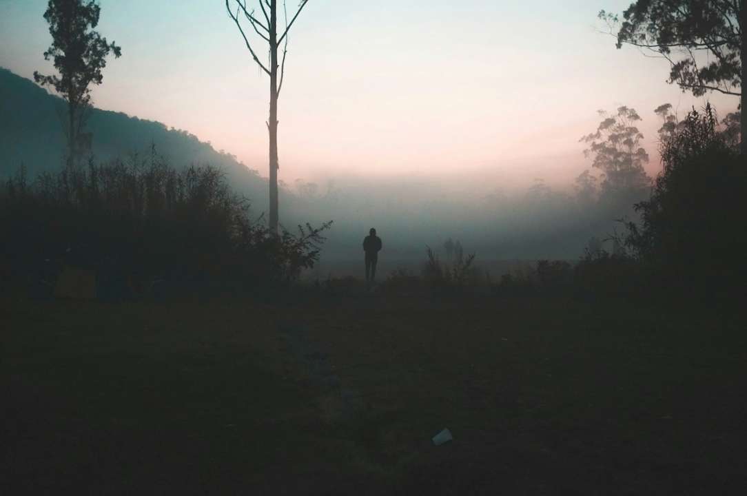 Попередження про небезпечні метеорологічні явища по м. Києву/Фото: Unsplash