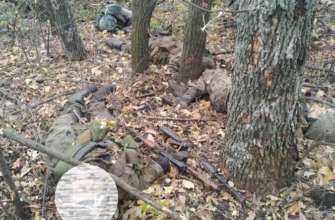 Українські десантники взяли штурмом позицію окупантів у Курській області Українські десантники взяли штурмом позицію окупантів у Курській області