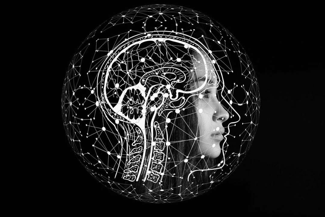 Как искусственный интеллект помогает улучшать отношения / Фото: Pixabay Электронный купидон: как искусственный интеллект помогает улучшать отношения