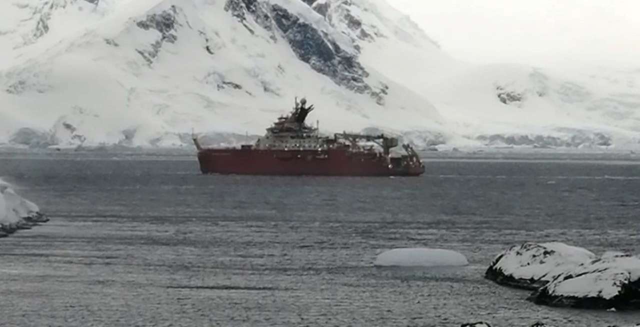 Полярники станции Вернадского встретили необычных гостей/Фото: AntarcticCenter/facebook Полярники станции Вернадского встретили необычных гостей. Фото