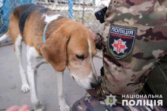 Пса Бурана підібрали Василь Піпа та Володимир Райвич у Красногорівці Пса Бурана підібрали Василь Піпа та Володимир Райвич у Красногорівці