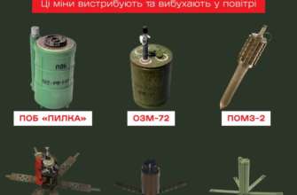 Фото: dsns_telegram Особливість осколкових протипіхотних мін та як із ними поводитися: поради від ДСНС