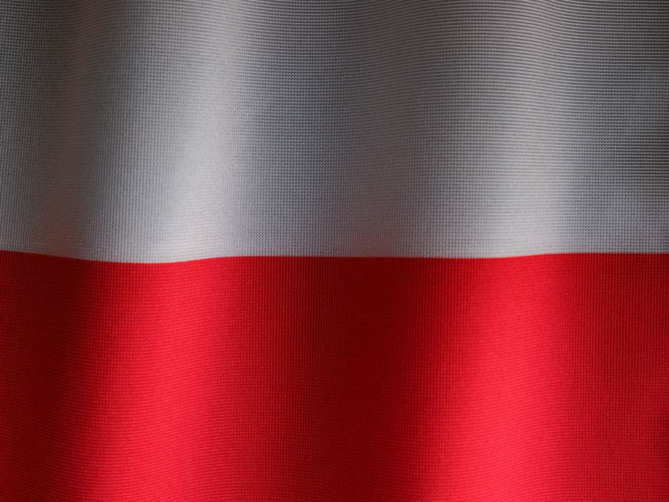 Институт нацпамяти Польши скоро пришлет в УИНП ответ о поисково-эксгумационных работах