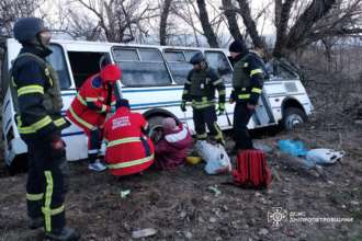 Водій автобуса не впорався з керуванням і врізався у дерево Водій автобуса не впорався з керуванням і врізався у дерево