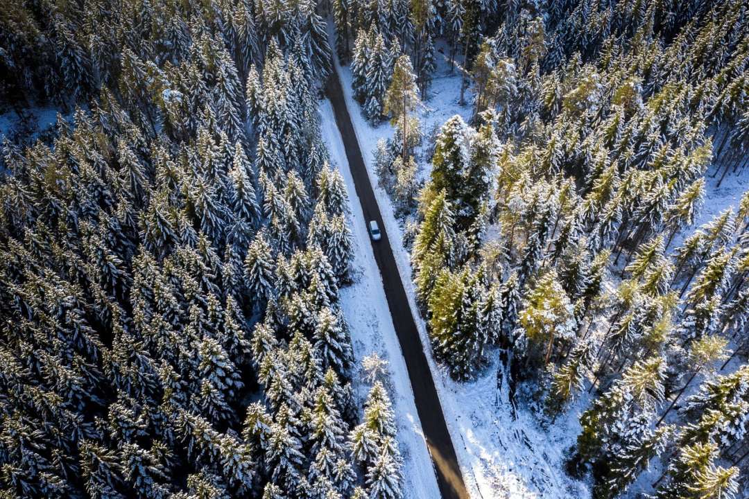 Поради для безпроблемної подорожі у відпустку та свята