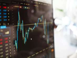 Фото: pexels.com Гетманцев сообщил цифры по детенизации рынка алкоголя