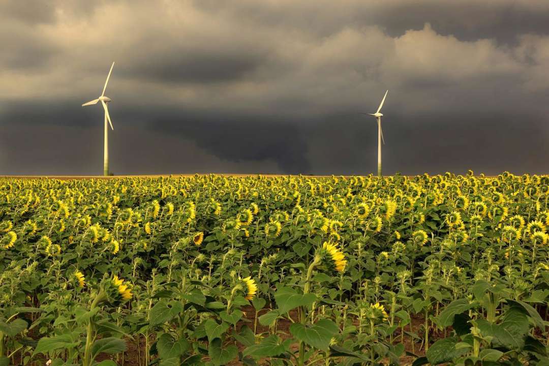 У деяких регіонах України 3 липня 2022 року будуть грози