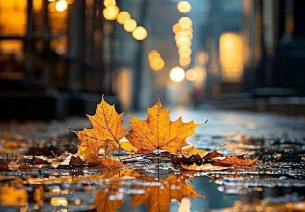 Погода на 7-8 жовтня/Фото: Pinterest Теплі осінні дощі: прогноз погоди на 7-8 жовтня в Україні