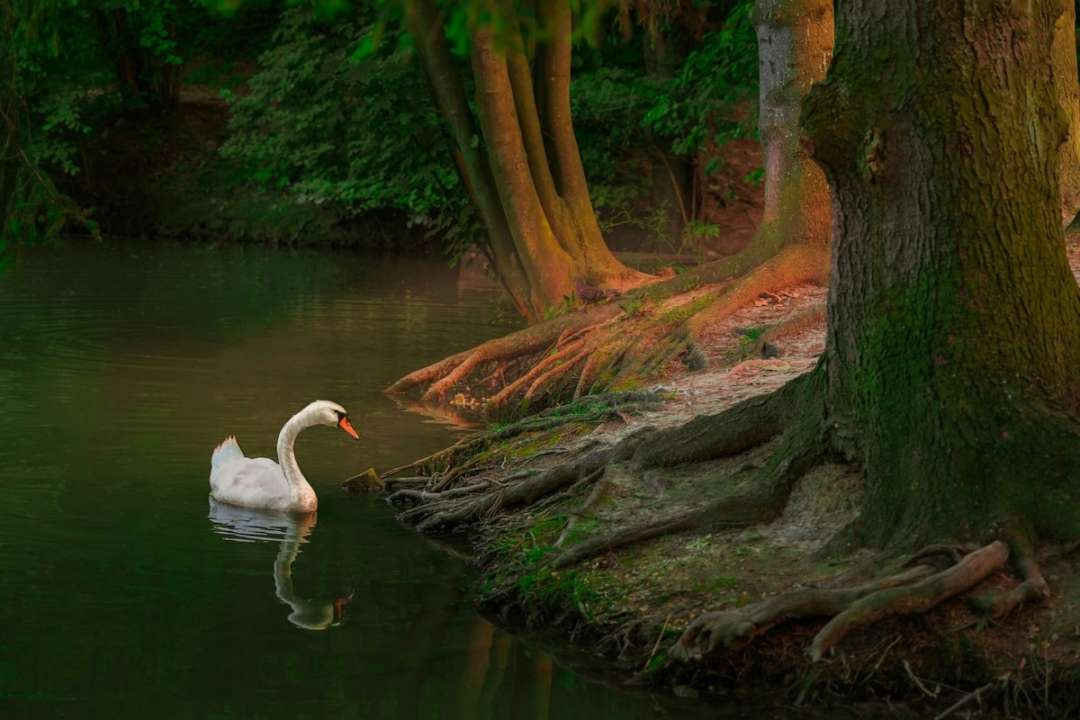 Кто празднует день ангела 23 октября/Фото: Unsplash