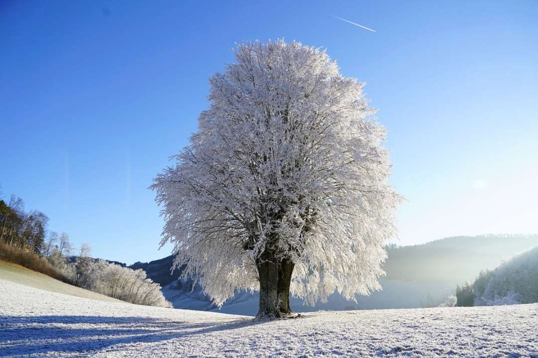 Прогноз погоды на 9 февраля / Фото: Pixabay В Украину придут морозы к -20: прогноз погоды на 9 февраля