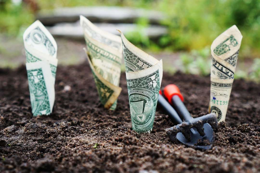 Где хранить деньги / Фото: Pixabay Почему деньги нельзя носить и хранить в кармане
