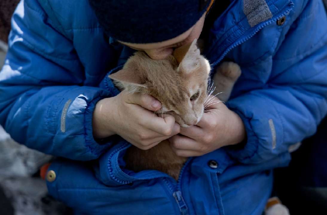 Скільки дітей загинуло в Україні за час війни через РФ